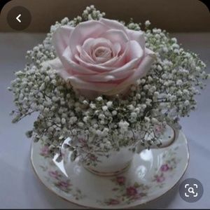 Meet your Posher, Roberta